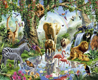 Zvieratá v raji 30x40