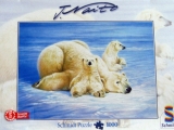 Ľadové medvede
