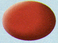 AQUA COLOR matt 36