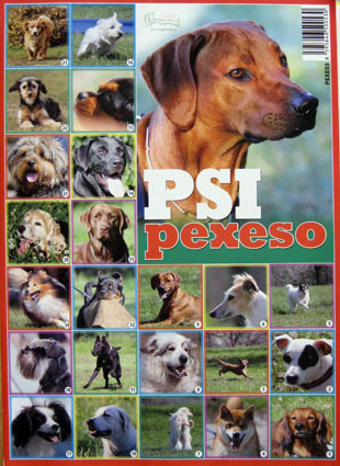 Pexeso Psy