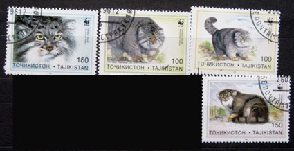 Manul