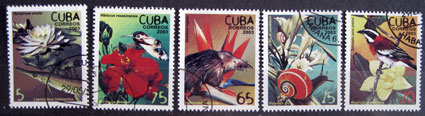 Flóra a fauna 