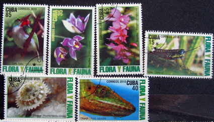 Flóra a fauna 