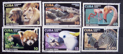 Zoo Havana