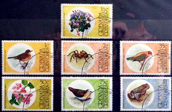Flóra a fauna 