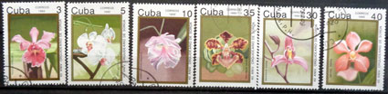 40. výročie záhrady orchideí Soroa 