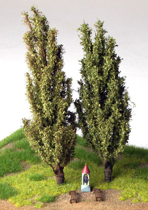 Topoľ 16 cm
