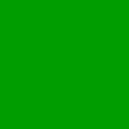 Pigmentová farba Bekro svetlo zelená 10 g