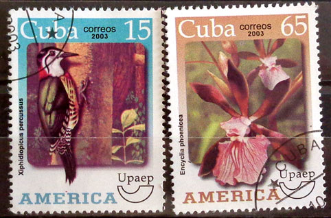 Amerika – Flóra a fauna 