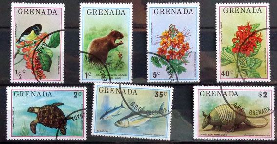 Flóra a fauna 1