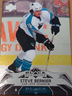 Steve Bernier