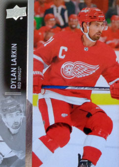 Dylan Larkin