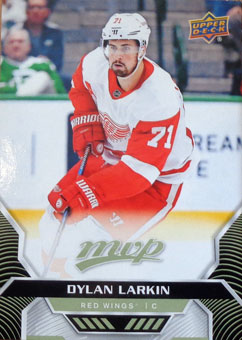 Dylan Larkin