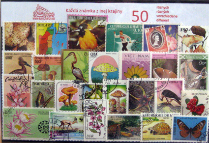Každá z inej krajiny 