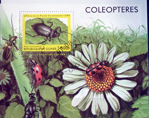 Chrobáky z celého sveta 1998