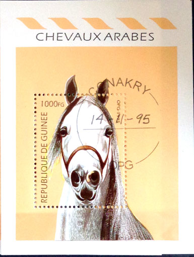 Arabské kone 