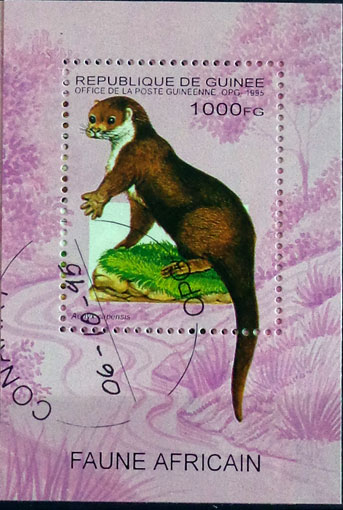 Cicavce 2