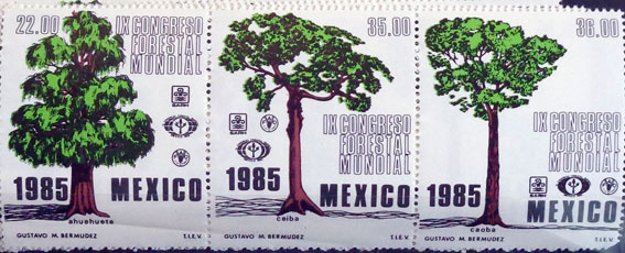 9. svetový lesnícky kongres - Mexiko 1985