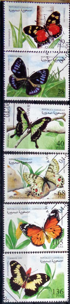 Motýle 12