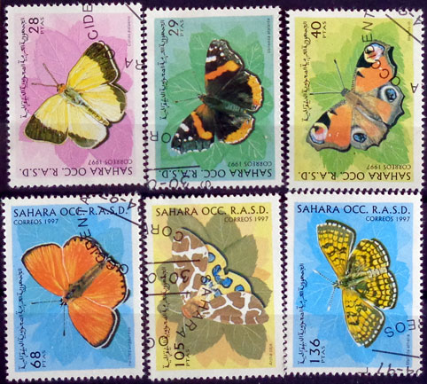 Motýle 13
