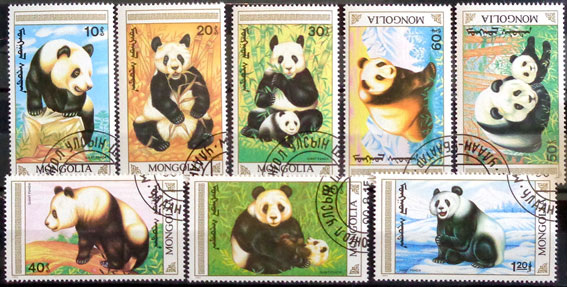 Panda veľká