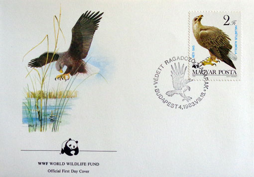 Orliak morský (Haliaeetus albicilla)