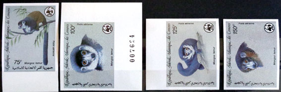 Ohrozené zvieratá - Lemury mangusty