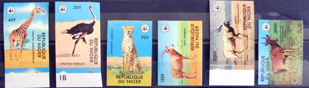 Ochrana prírody - Ohrozené zvieratá 