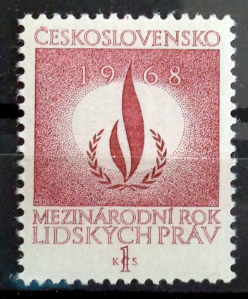 Rok ľudských práv