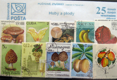 Huby a plody