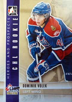Dominik Volek    