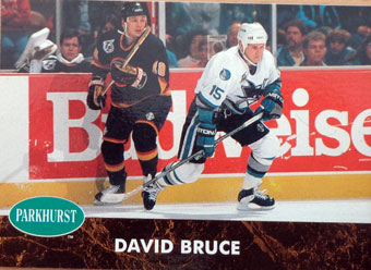 David Bruce    