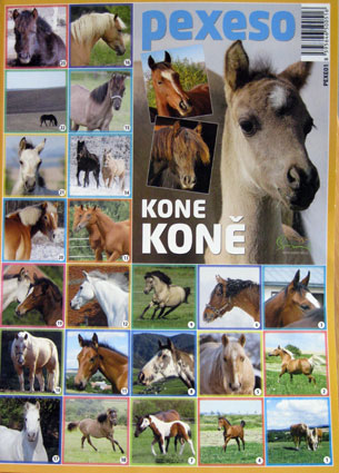 Pexeso Kone