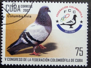 Piaty kongres federácie kubánskych holubích fanúšikov 