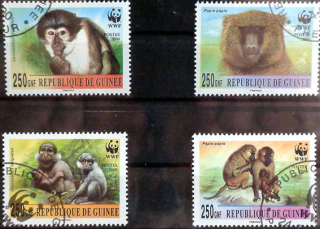 WWF - Opice, voľne žijúce zvieratá