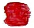Lesklá laková farba na vosk - tmavo červená