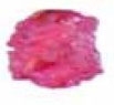 Lesklá laková farba na vosk - ružová