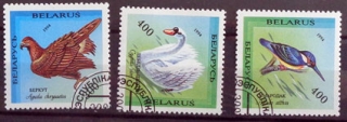 Vzácne vtáky z Bieloruska 