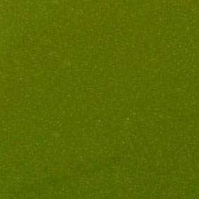 Rozpustná farba Bekro žltozelená 10 g (Brezová)
