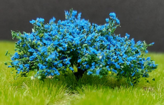 Kríčky kvitnúce - modré