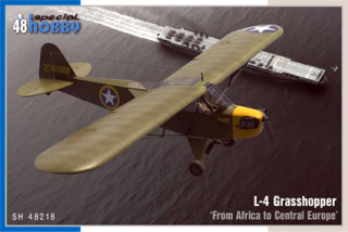 L-4 Grasshopper "From Africa to Central Europe"