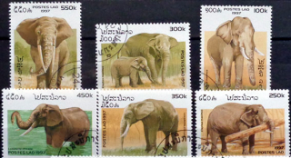 Slony 