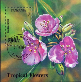 Tropické kvety 