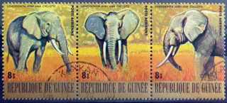 Ohrozené zvieratá - Slon 