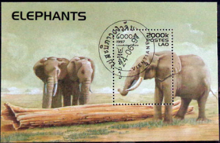 Slony 1