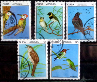 Kubánske vtáky