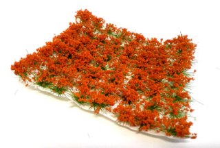 Trsy kvetov - oranžové