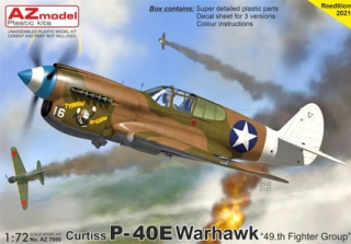 P-40E Warhawk „49.th FG"