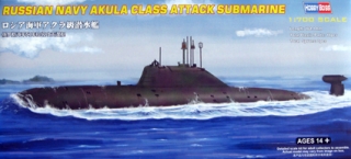 Akula Class Russian Attack Submarine